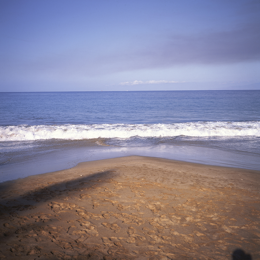 EVERYTHING IN PLACE, Shelley Hill, Photography, Giclée