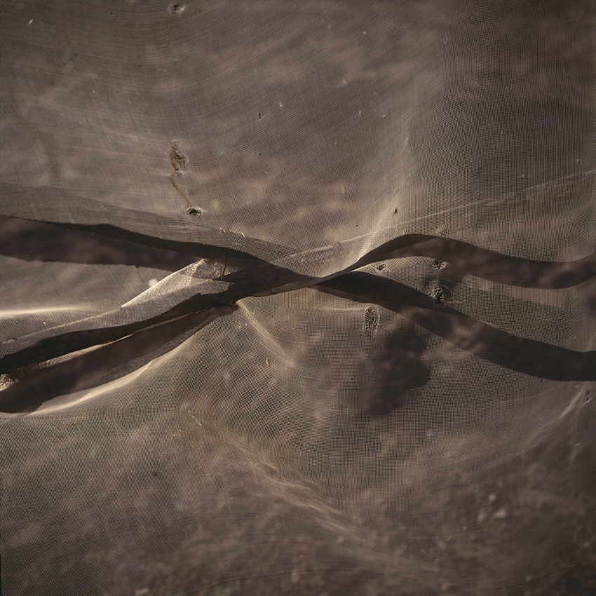 EVERYTHING IN PLACE, Shelley Hill, Photography, Giclée