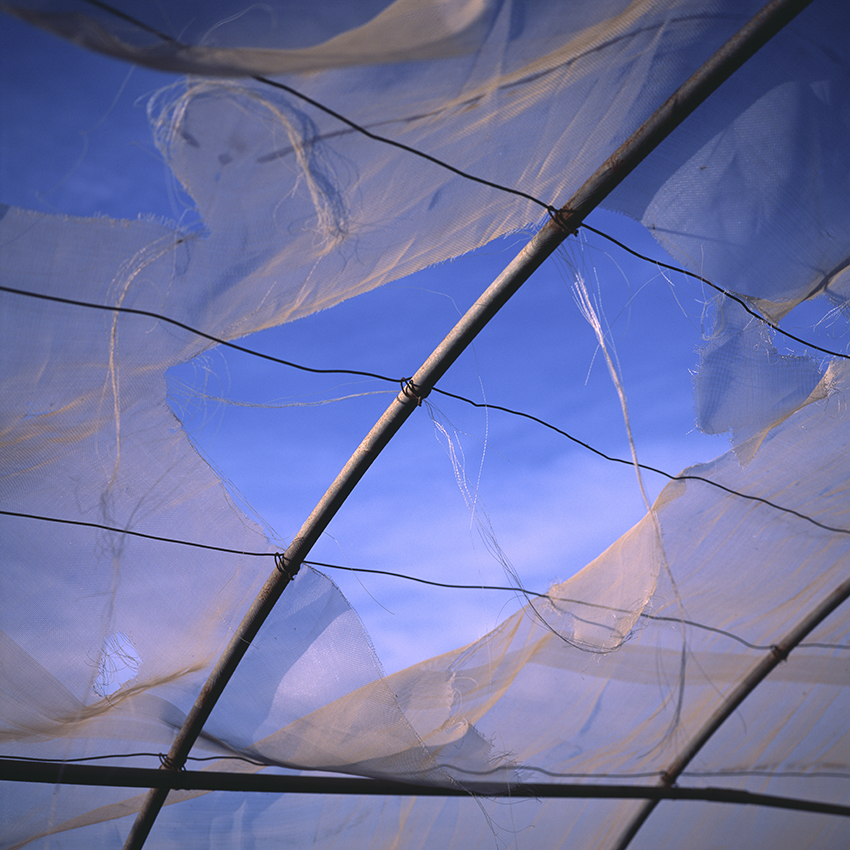 EVERYTHING IN PLACE, Shelley Hill, Photography, Giclée