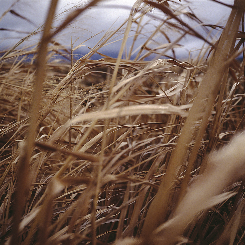 EVERYTHING IN PLACE, Shelley Hill, Photography, Giclée