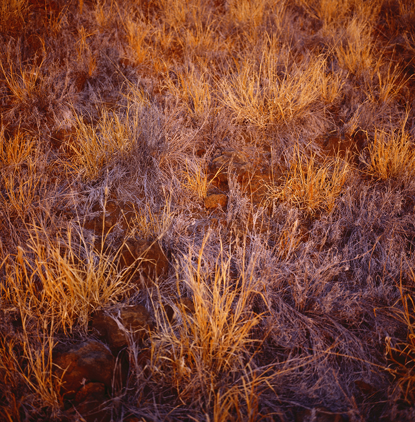 EVERYTHING IN PLACE, Shelley Hill, Photography, Giclée