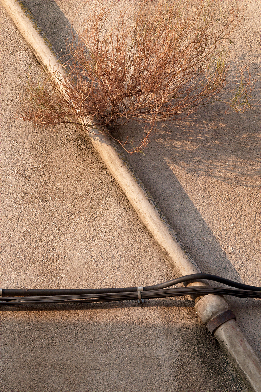 PASSING THROUGH, Shelley Hill, Streetphotography, Visual artist, street photography